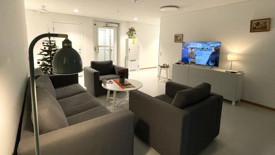 Ljust och inbjudande rum med en soffgrupp för social samvaro och en julgran.