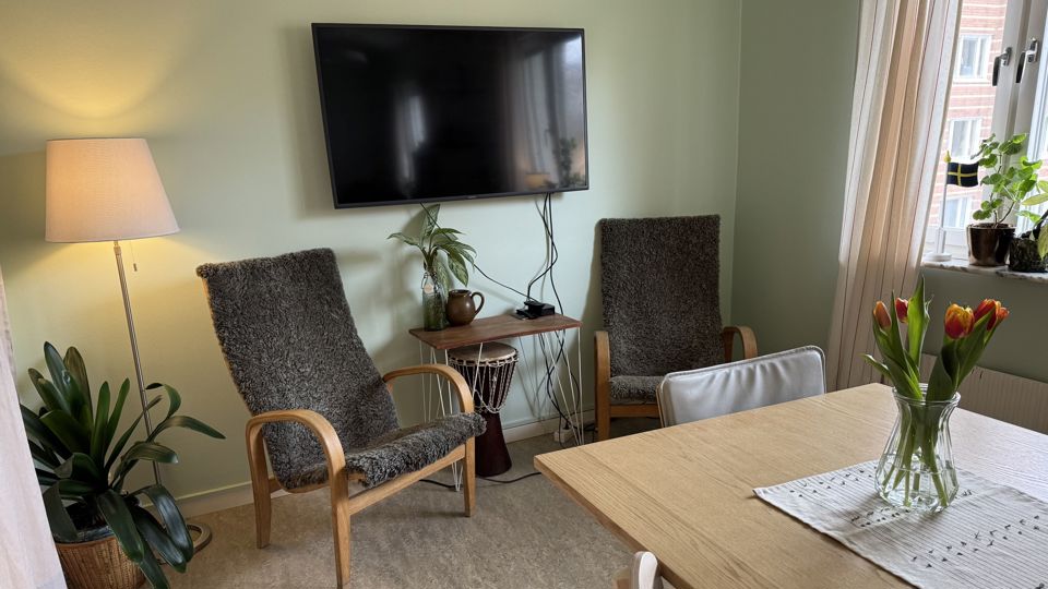Två fårskinnsklädda fåtöljer invid en lampa, krukväxter och ett bord.